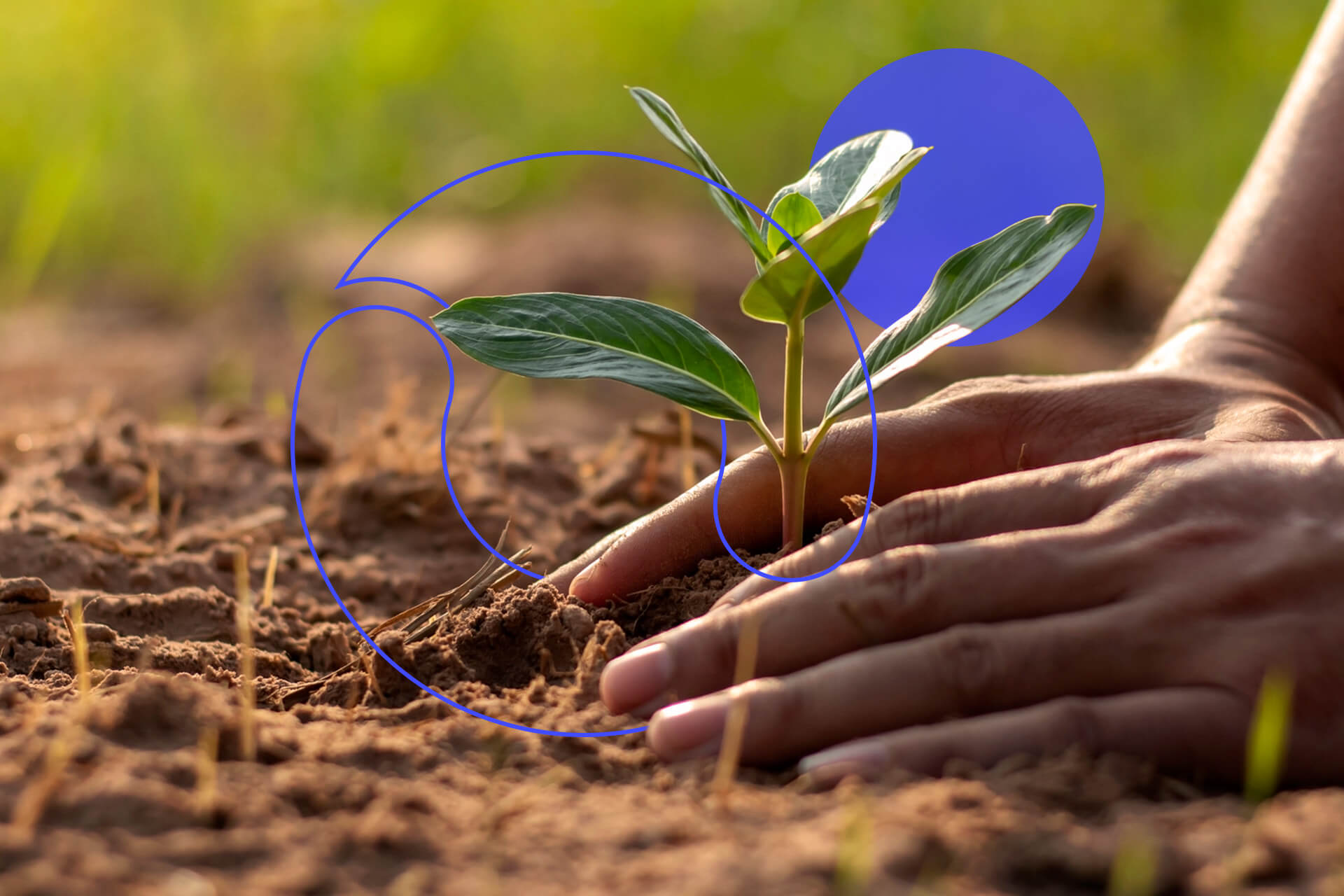 Earth Day April 22nd: 10 Quick & Easy Ways to Show Your Support