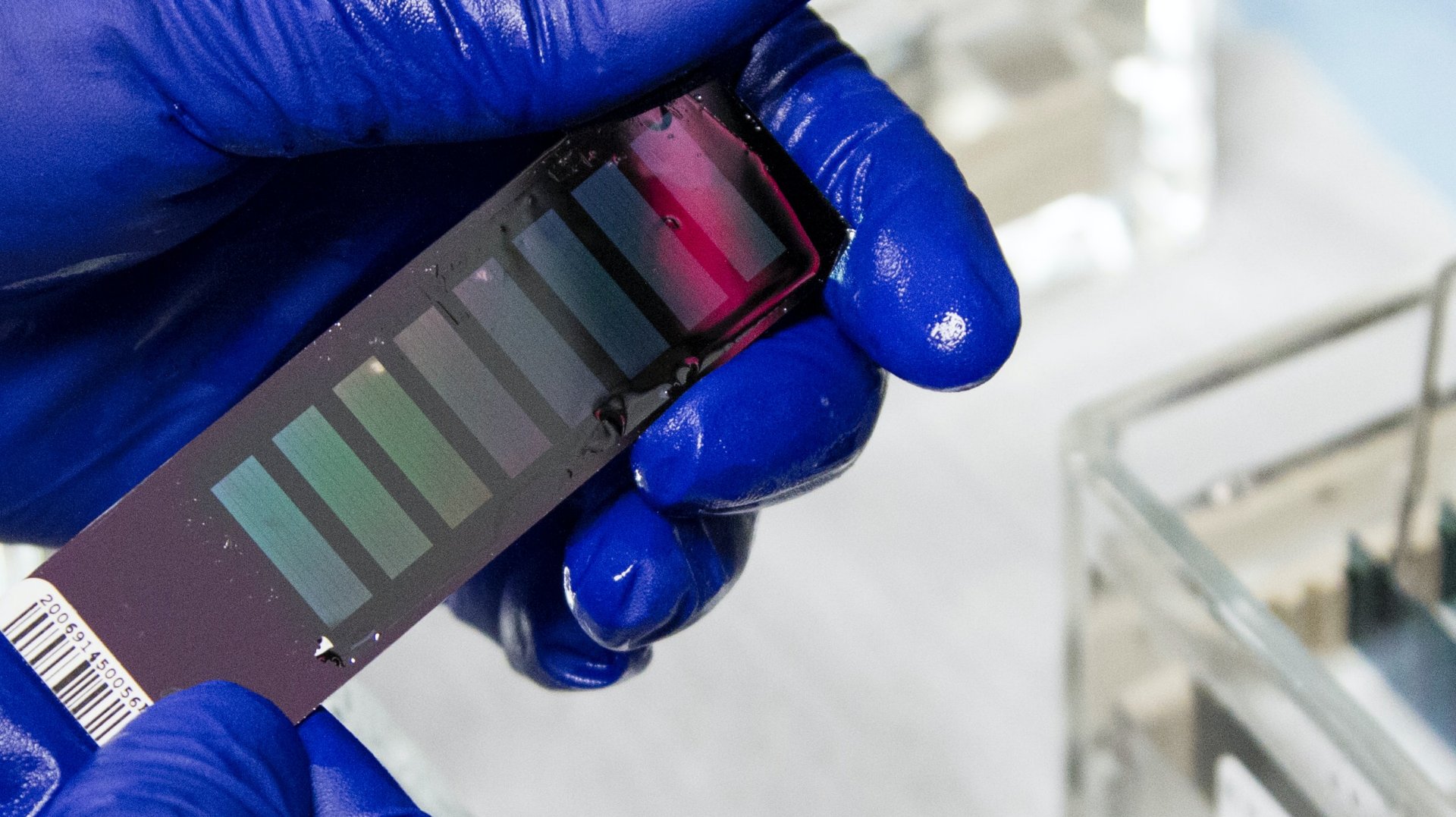 national-cancer-institute-W6yy0wYV-hk-unsplash-1