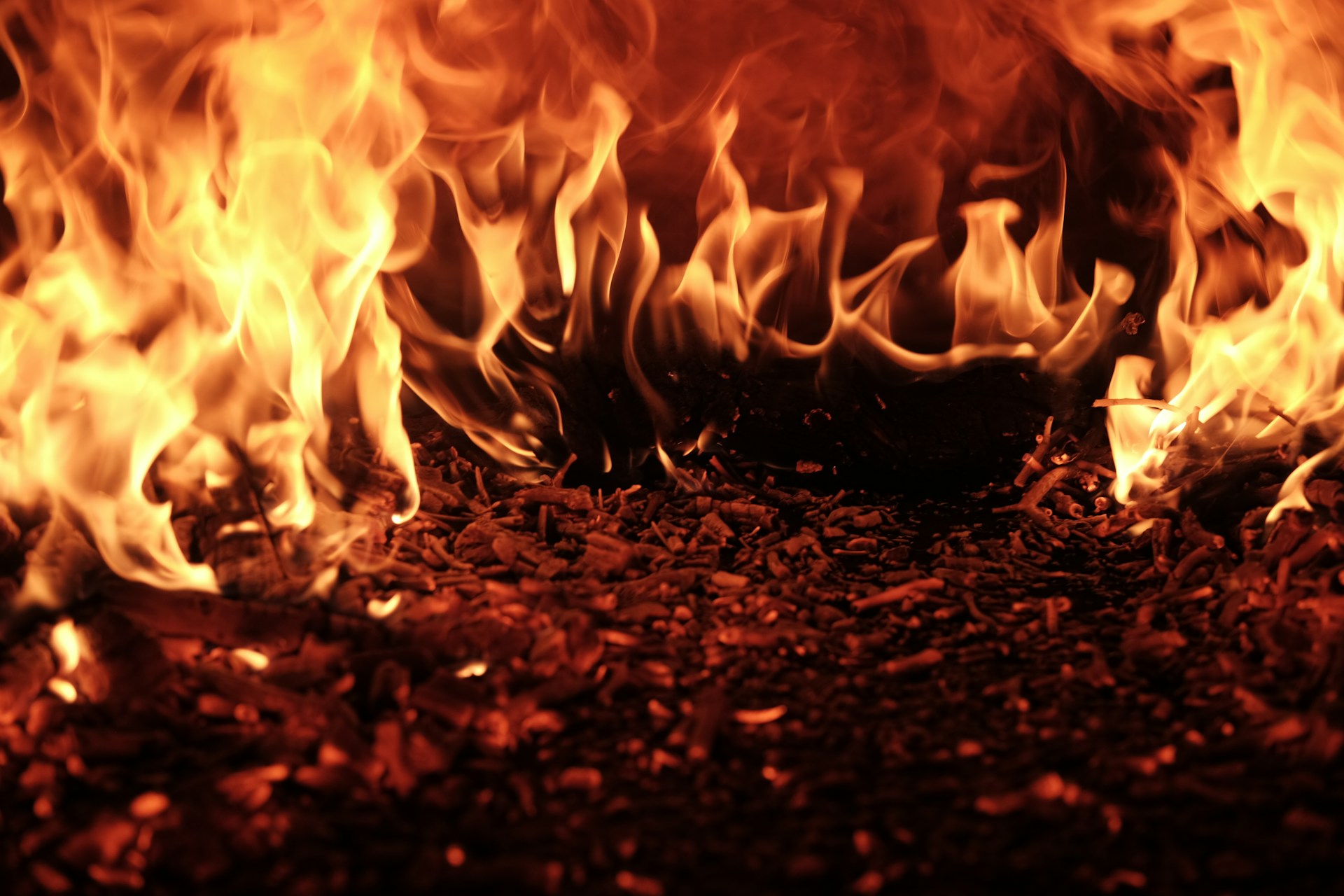 AI Wildfire Detection: How Algorithms Stop Fires and Save Lives