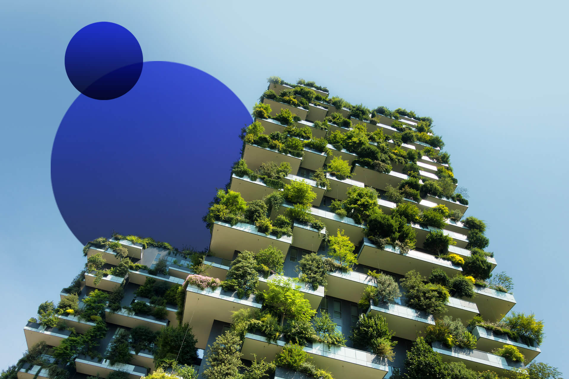 Feature-11-Popular-Green-Building-Materials-Used-Today