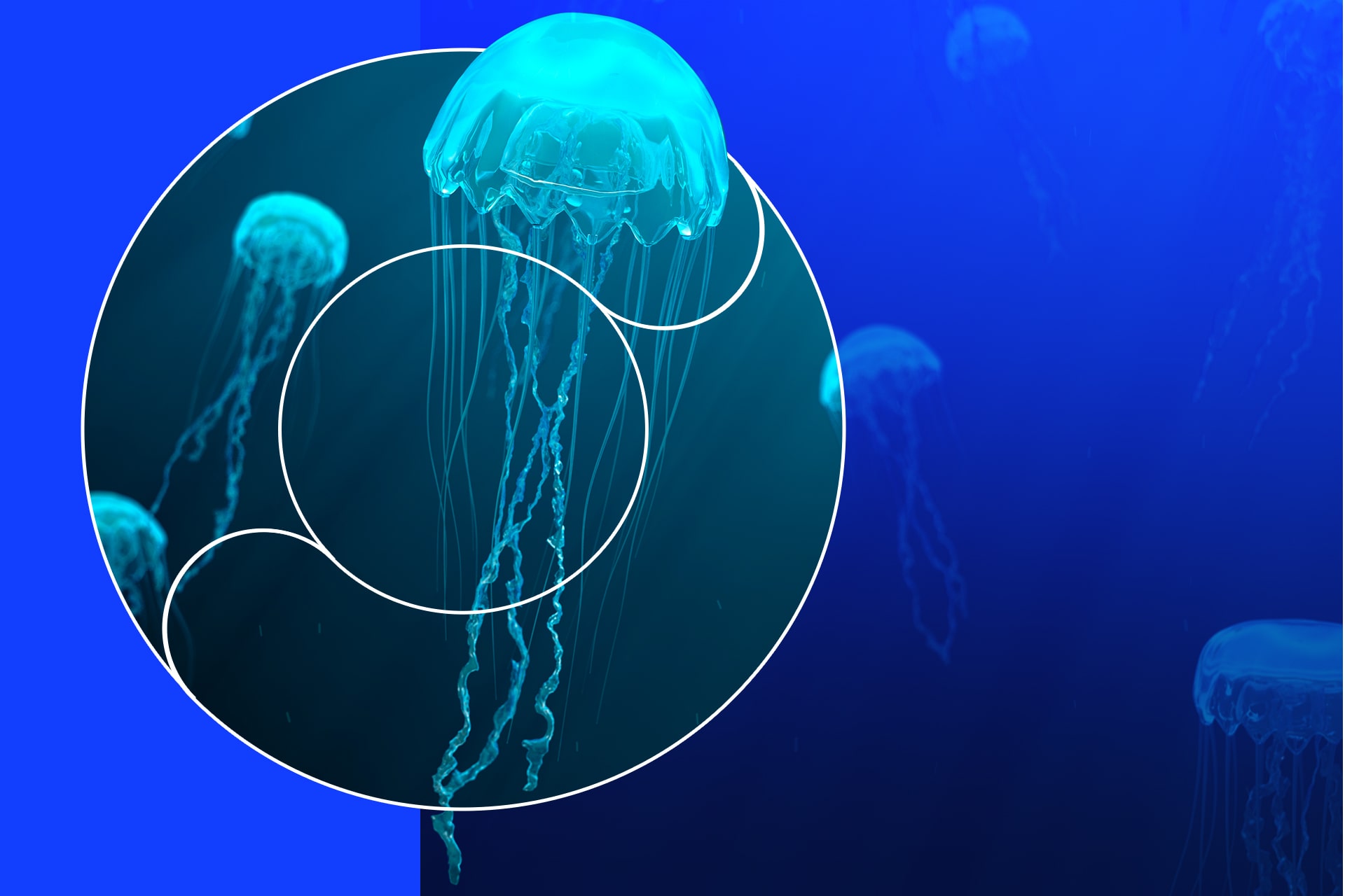 Feature-Images-15-Things-That-Glow-in-the-Dark-min