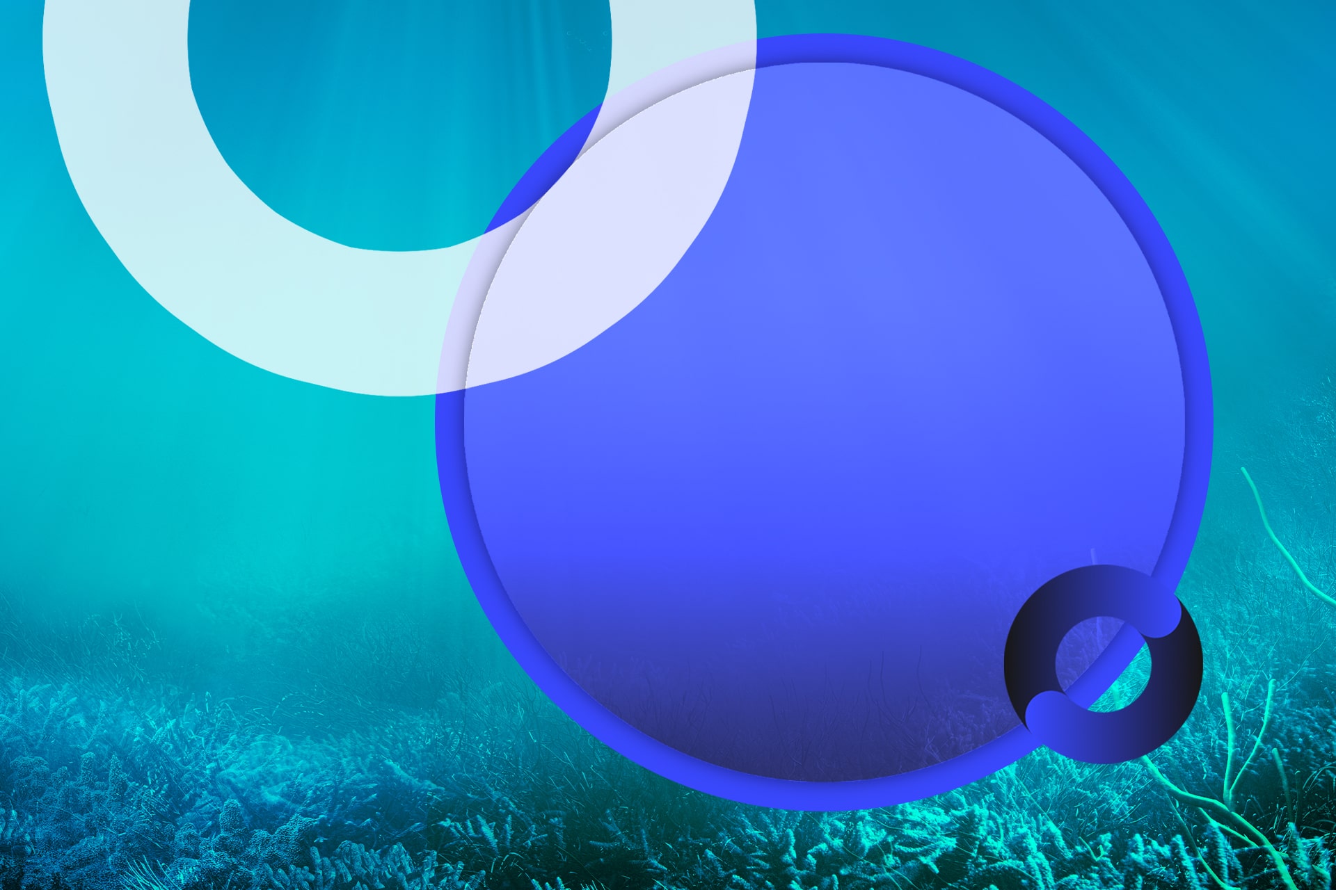 Can Seeding the Ocean With Iron Help Stave off Climate Change?