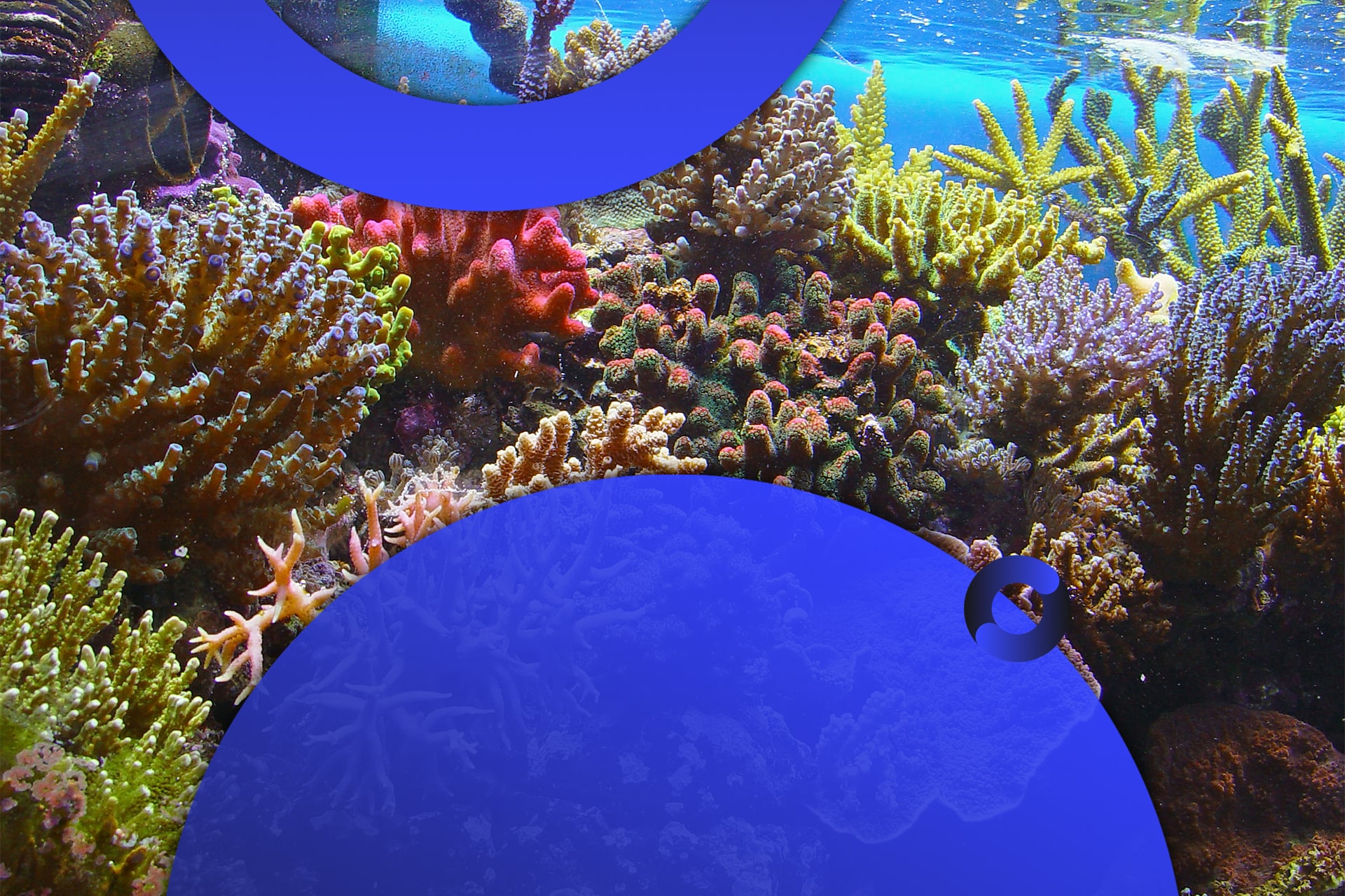 Feature-Images-min-3