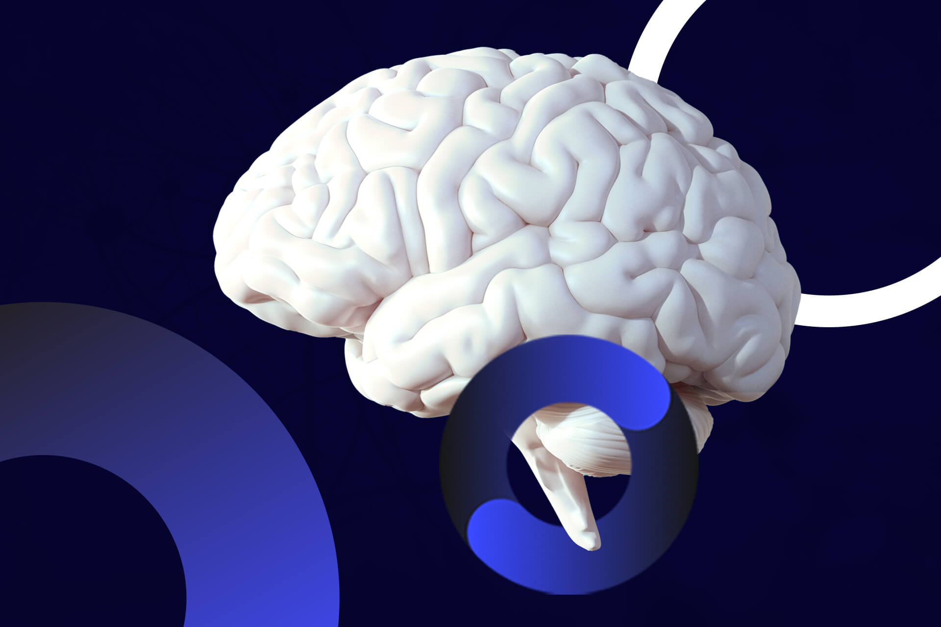 Featured-everything-you-need-to-know-about-the-structure-of-the-human-brain