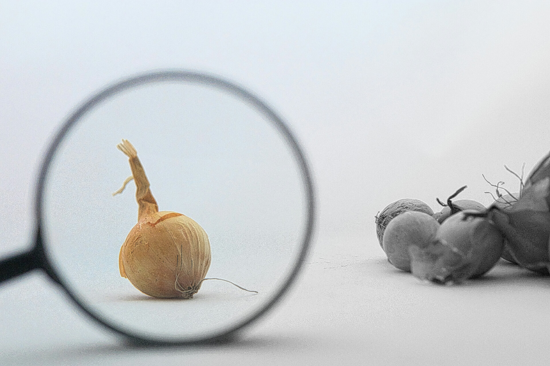 Food Quality Control Systems and Guidelines, Explained