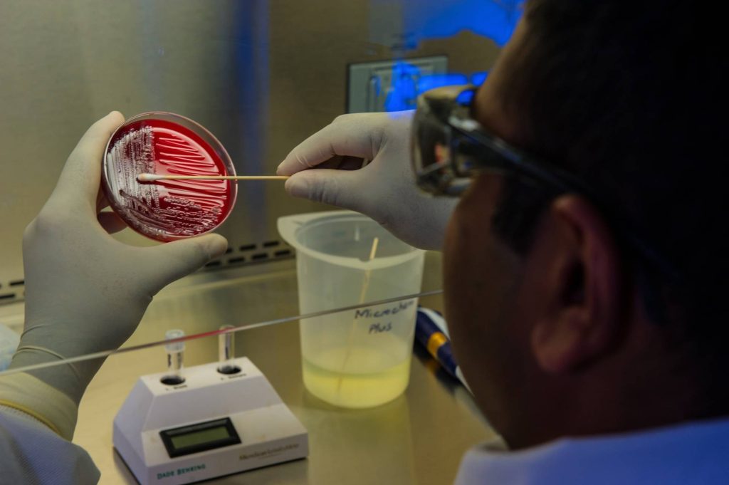 Biotechnology Applications in Microbiology - Revolutionized