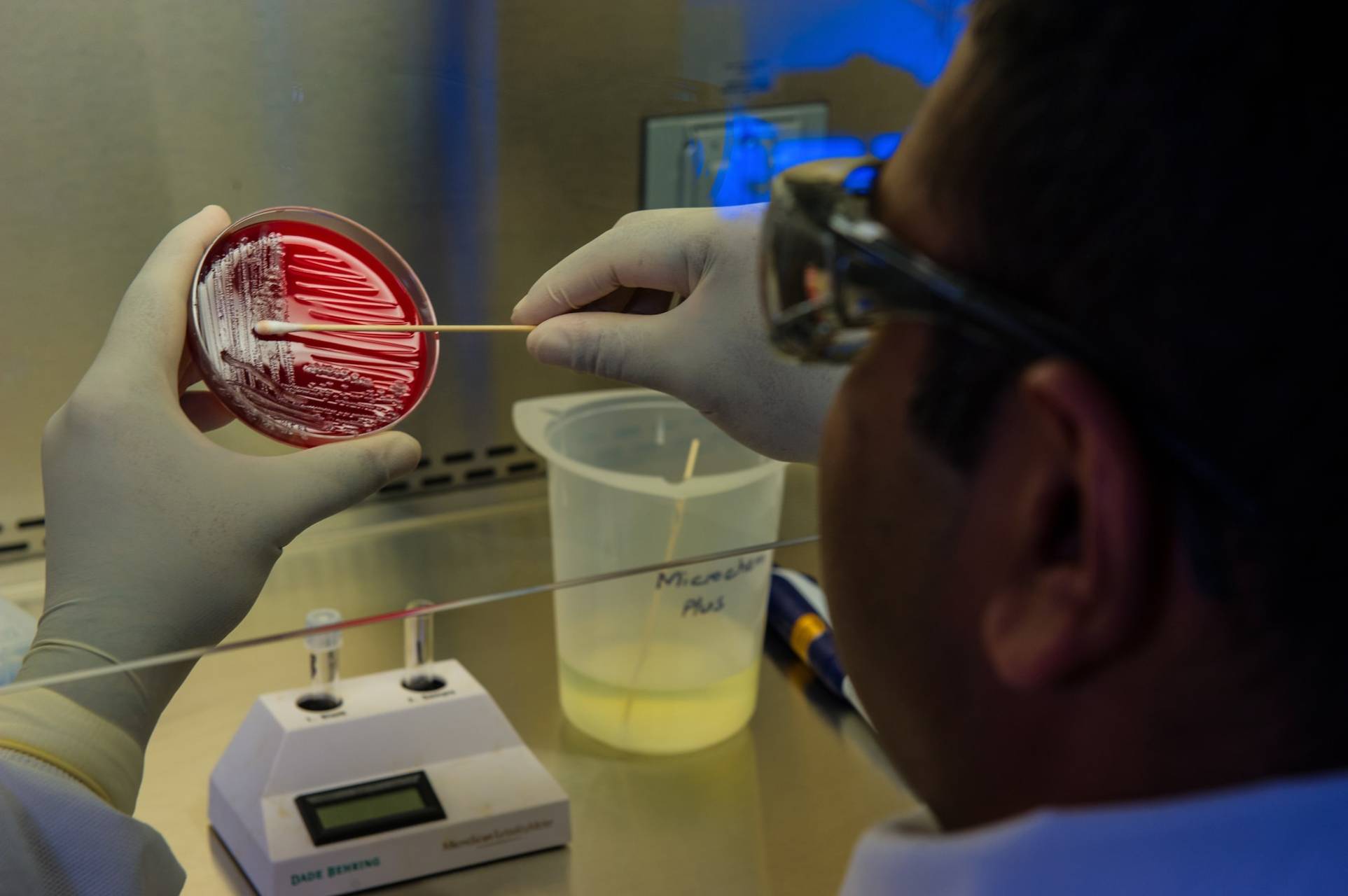 microbiology-in-biotechnology