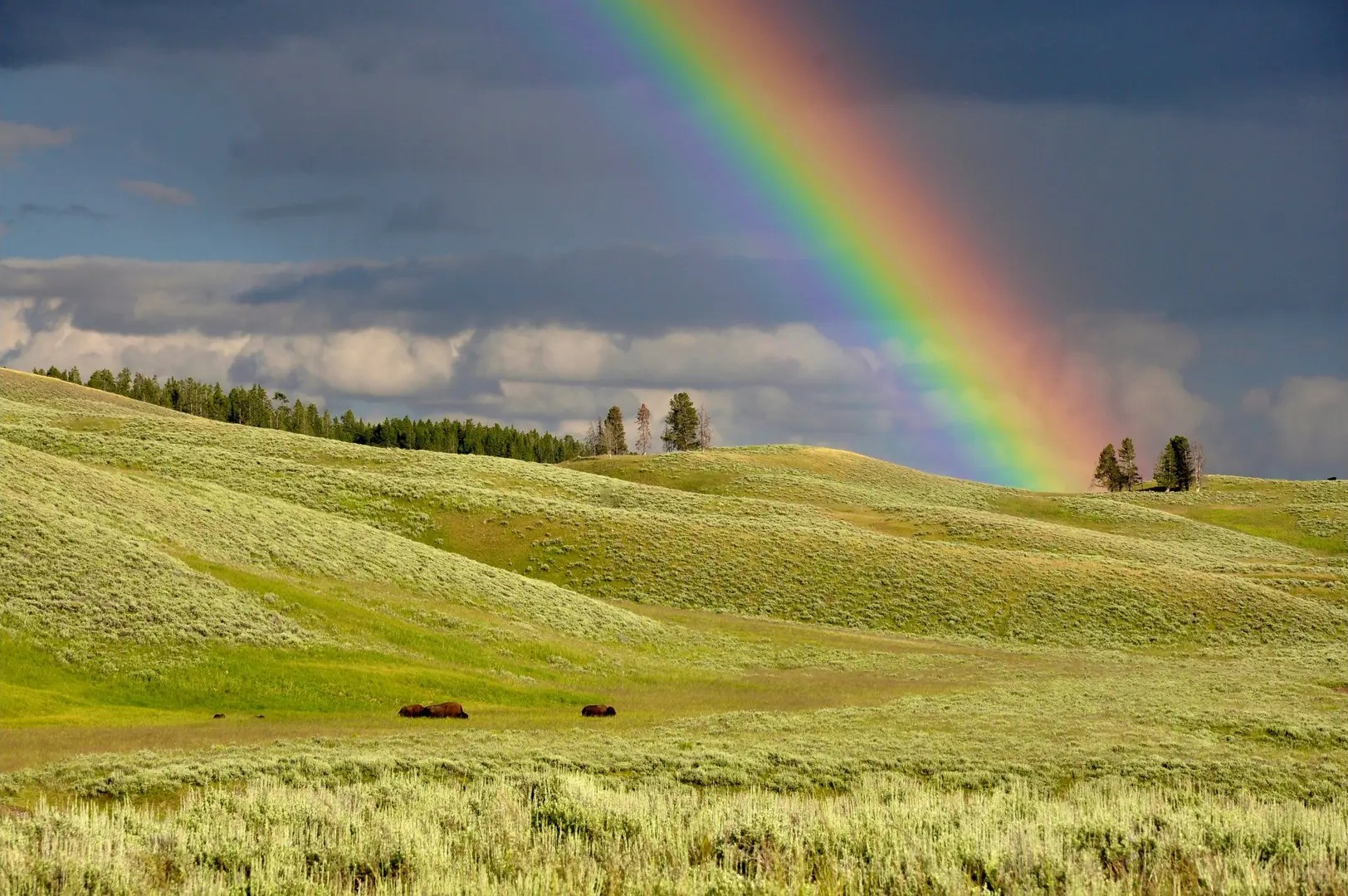 Why Do Rainbows Appear After Rain? Exploring the Conditions for Formation