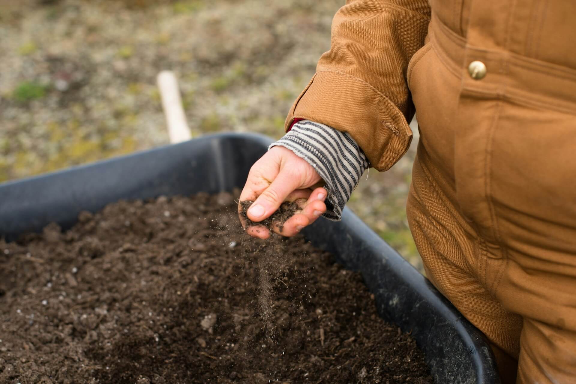 a famer checking the soil in his farm