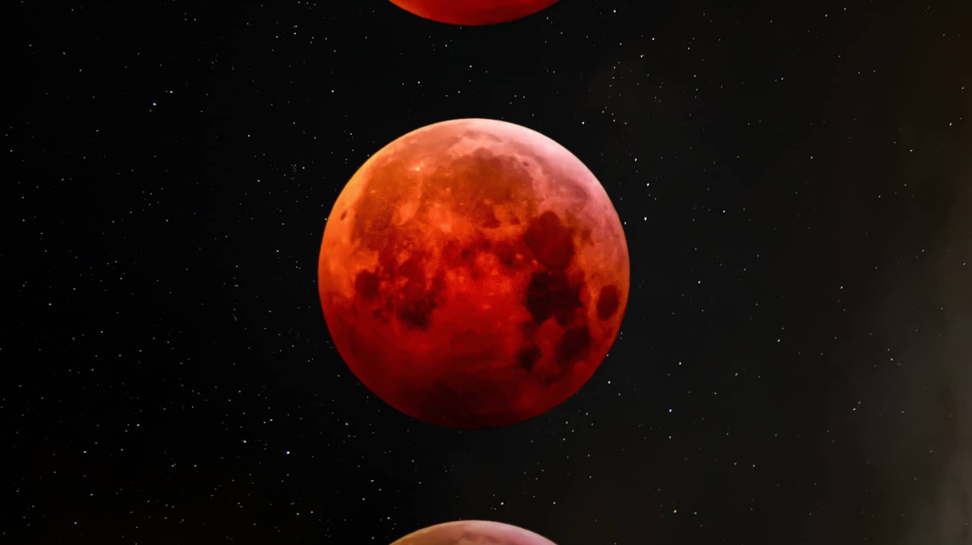 zoltan-tasi-HQPJEEjHqSE-unsplash-1