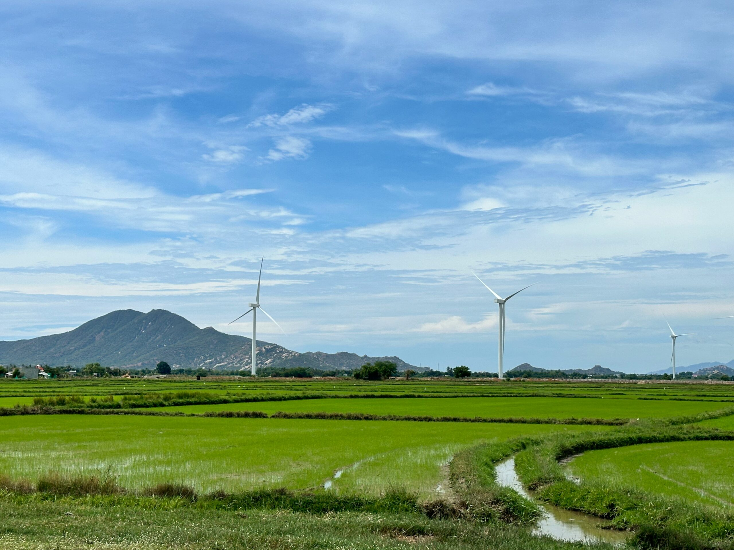 How Local Bioenergy Systems Can Keep the Lights On During Climate Disasters