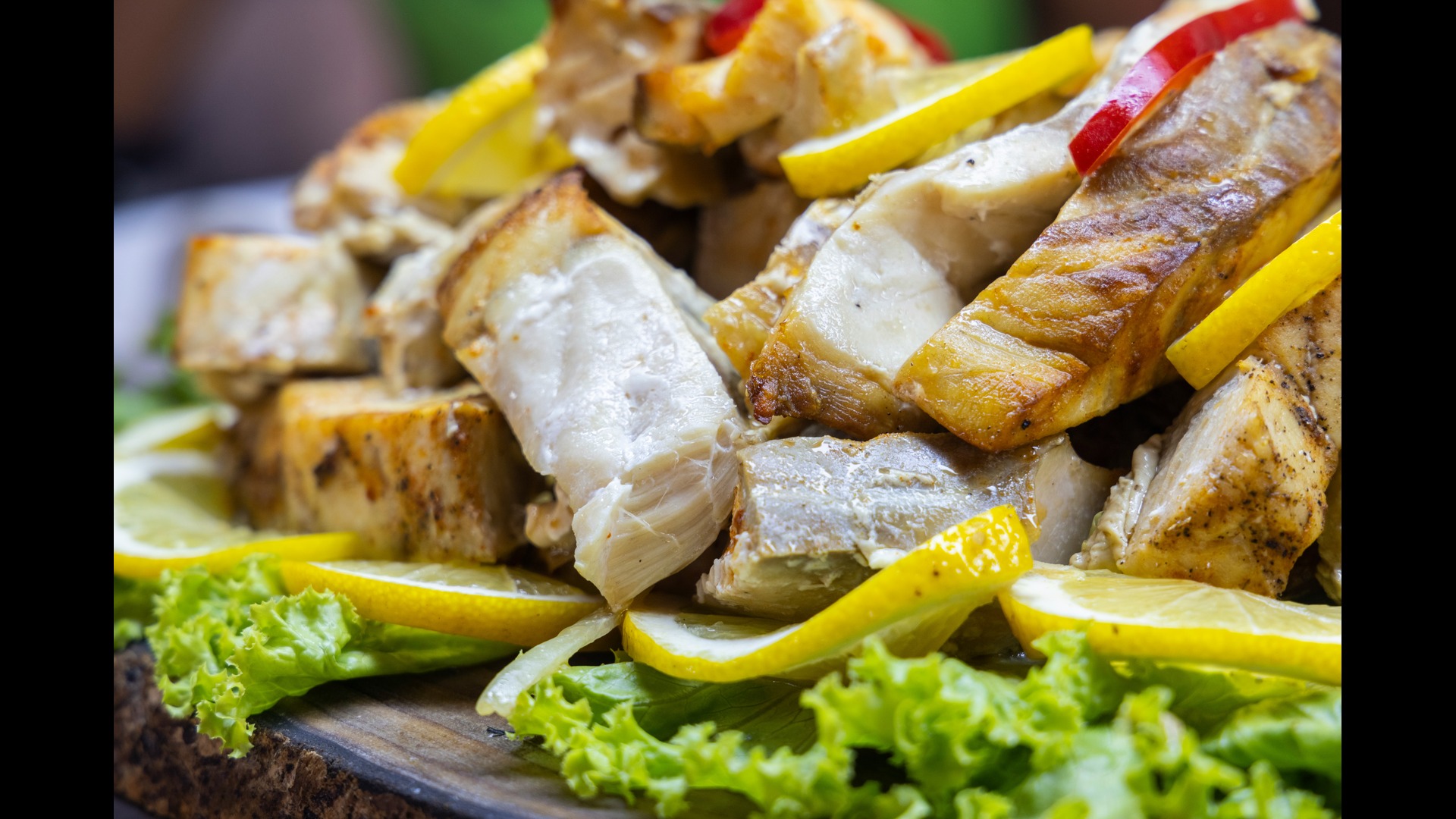 Fungal Fermentation: How China Is Engineering the Future of Sustainable Protein