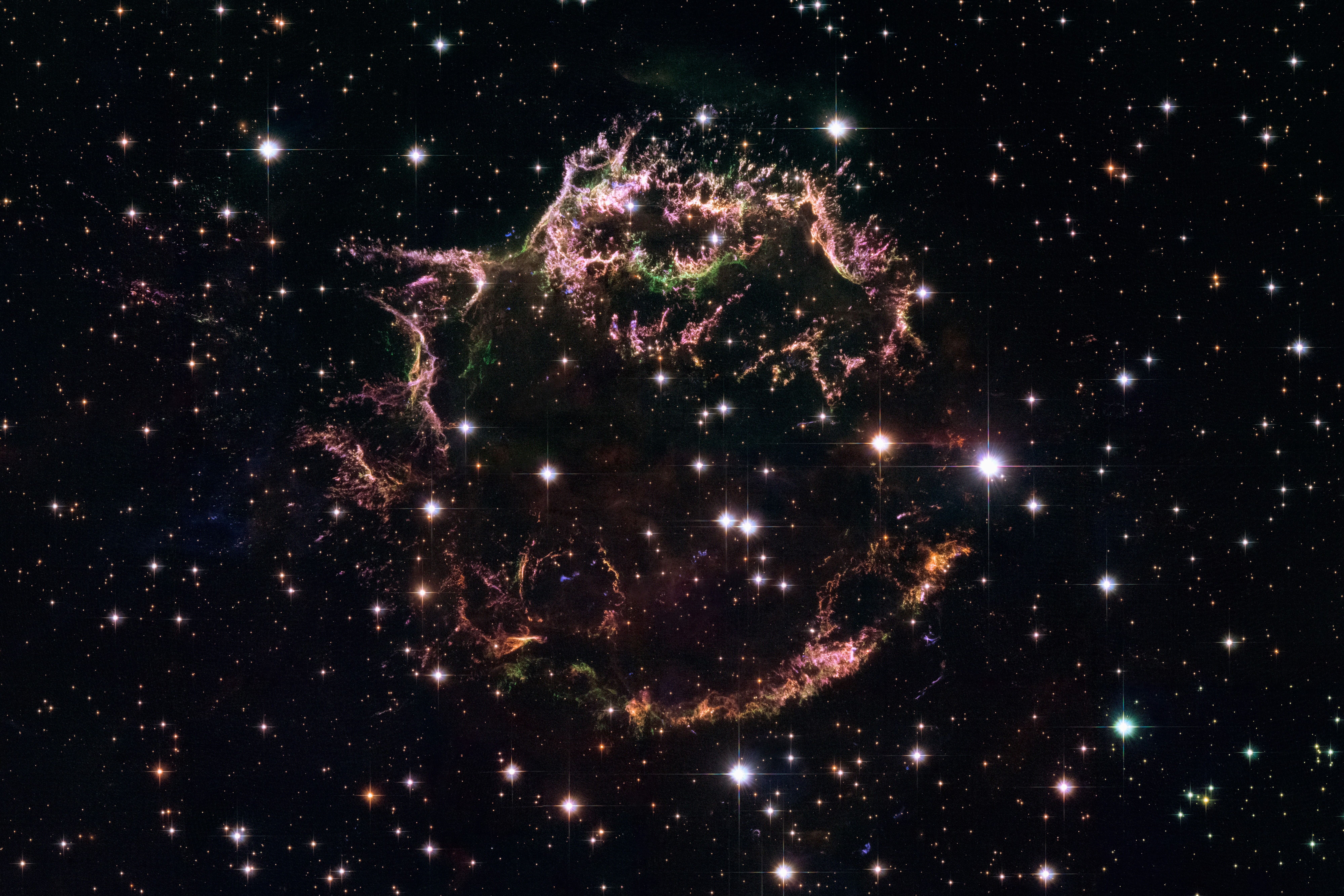 What Would Life Look Like in a Universe Facing Heat Death?
