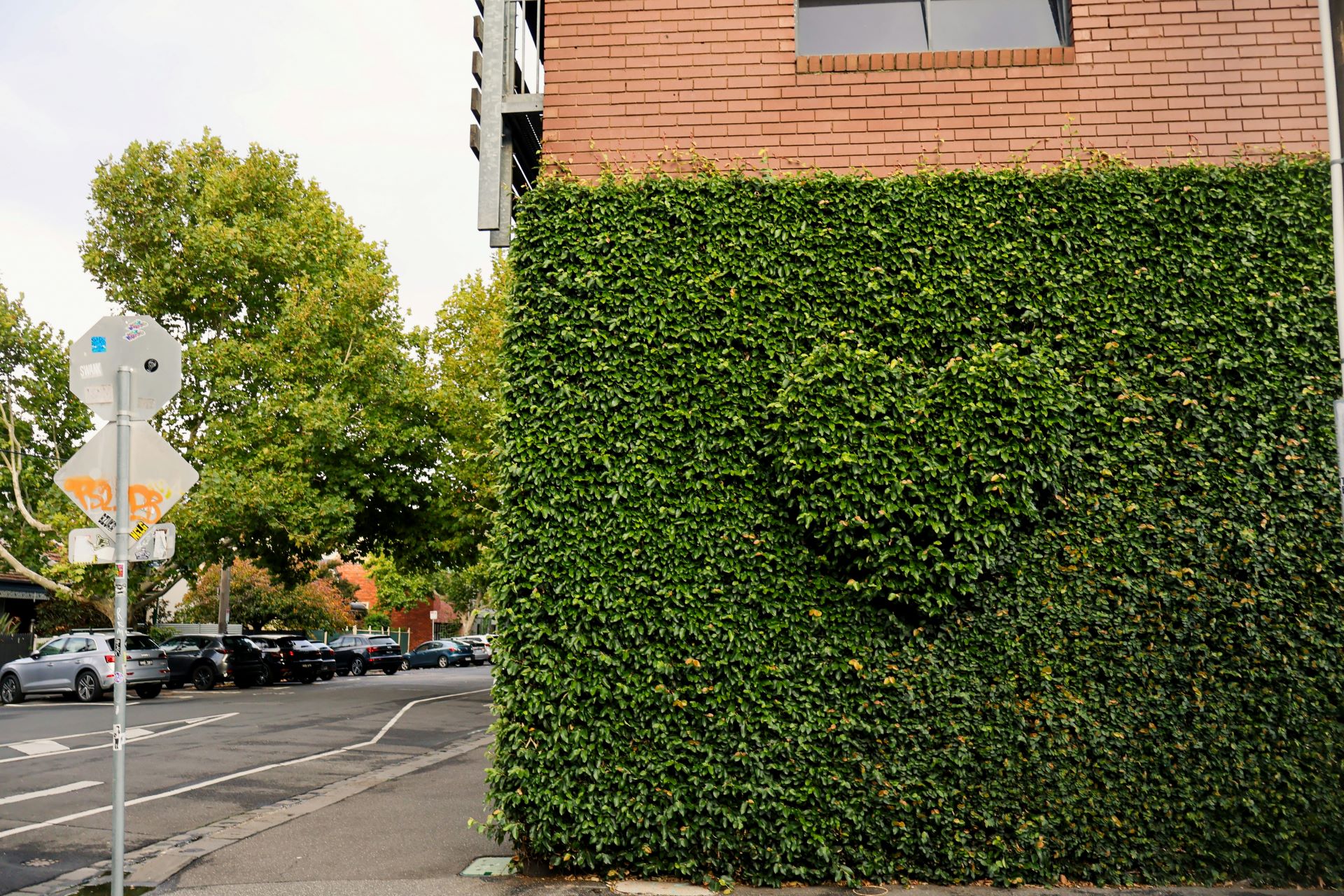 living wall on a brick building with an embossed heart