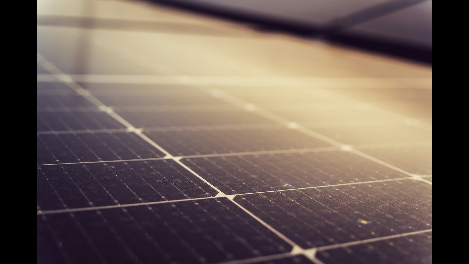 photo of a solar panel up close