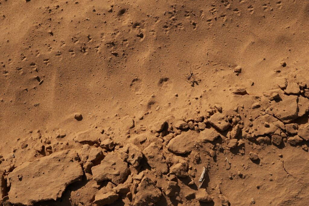 Dusty surface of Mars
