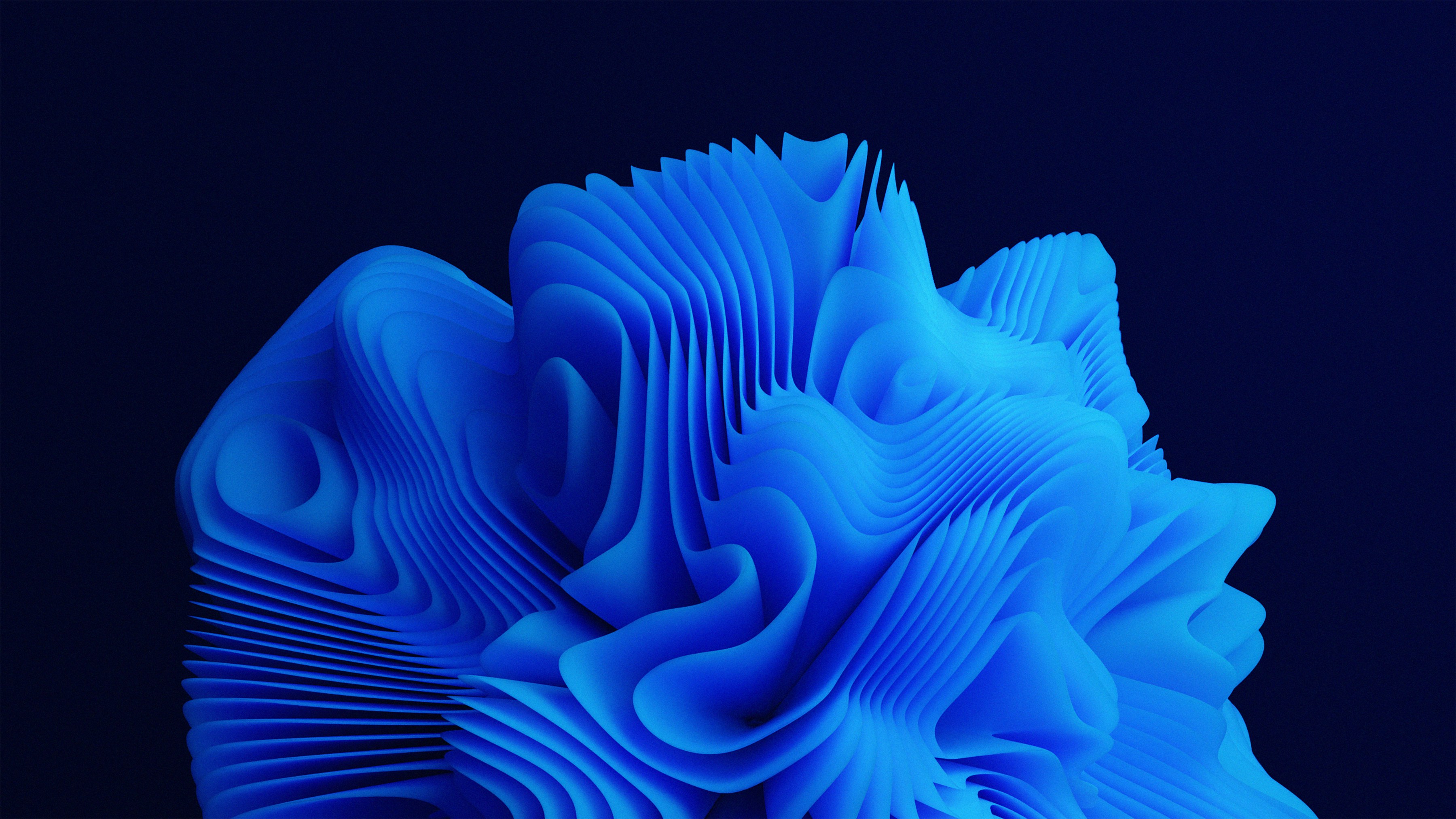 3D graphic