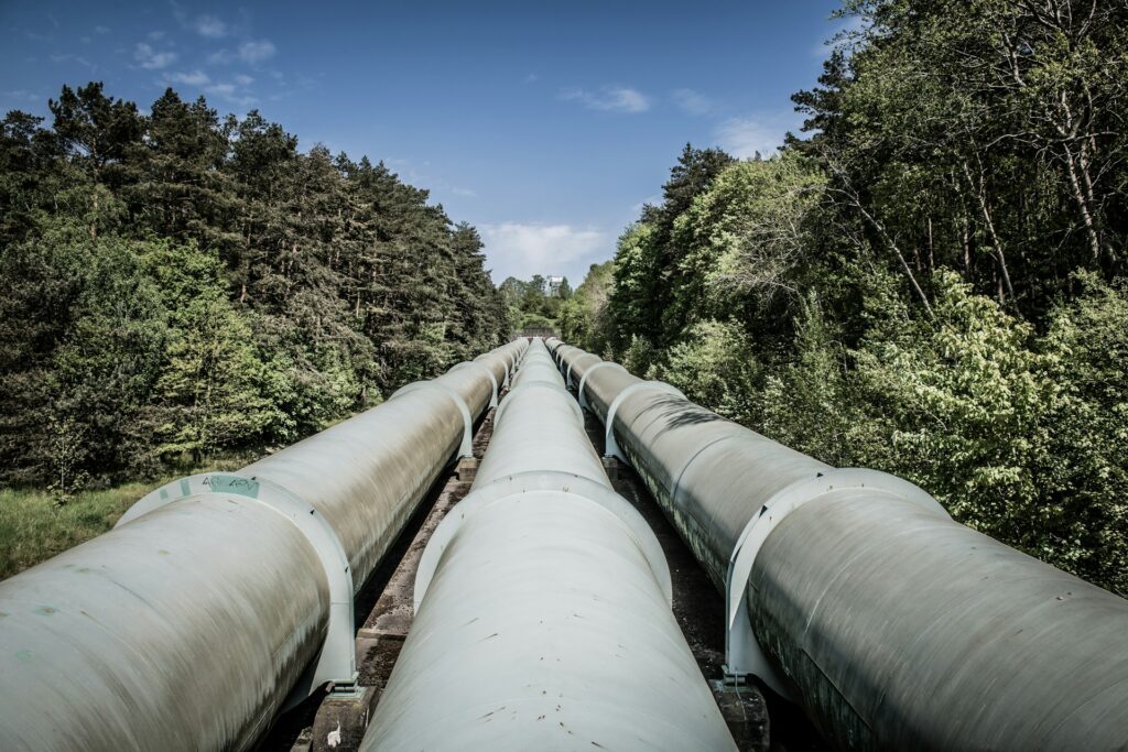 grey pipeline through a forest