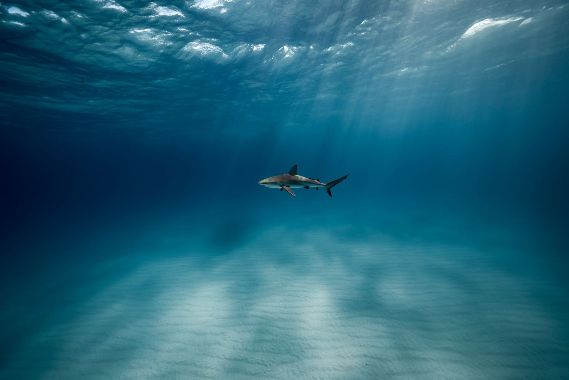 Design Considerations for Robotic Systems in Deep-Sea Environments