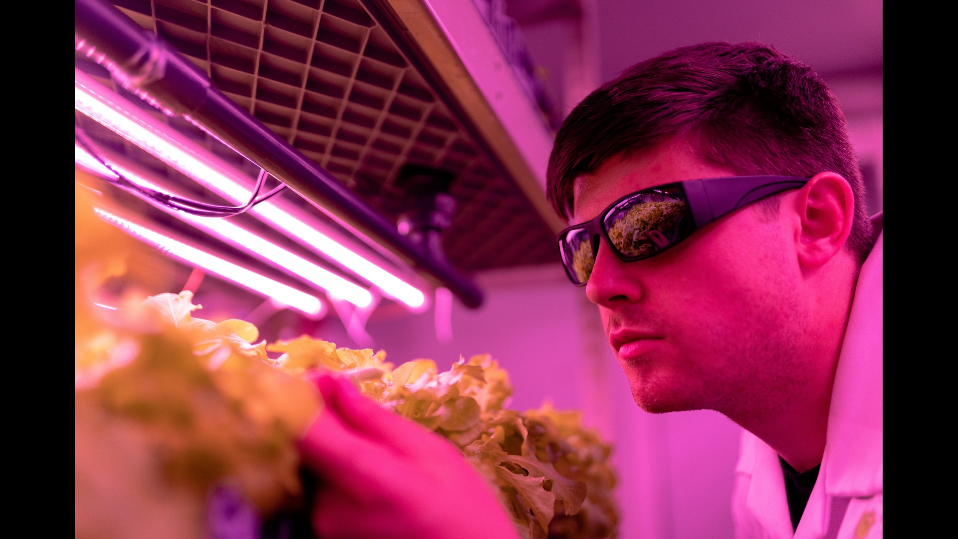 Lab Coats vs. Overalls: Why Farming Scientists Deserve Equal Recognition