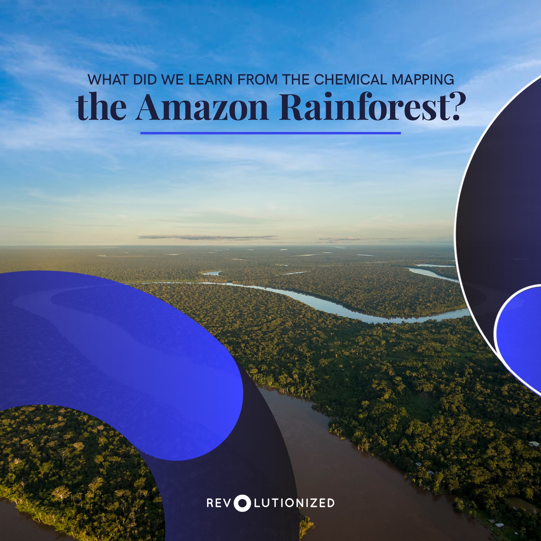 Mapping Chemical Signatures of the Amazon Rainforest