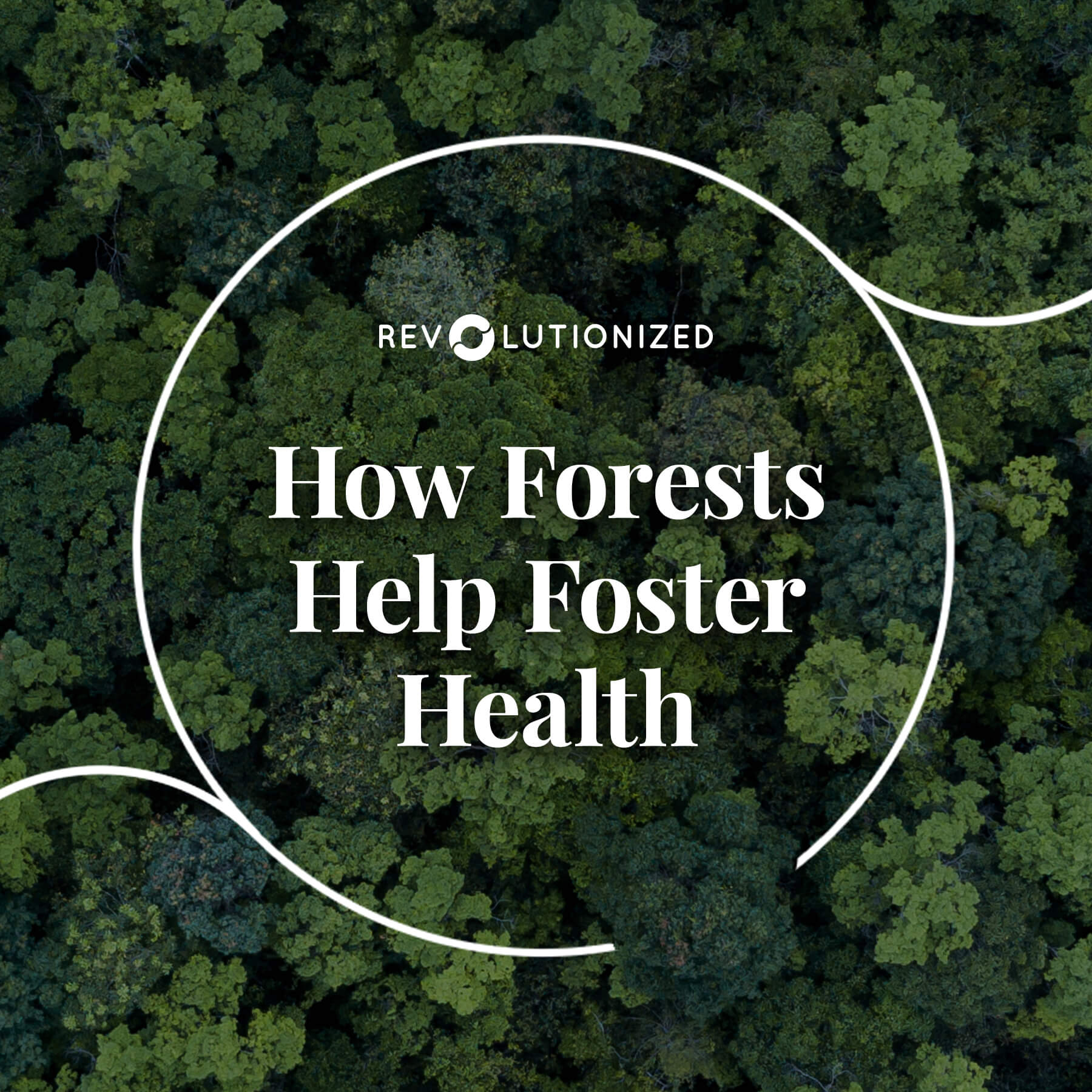 how-does-forest-bathing-impact-my-heath-revolutionized