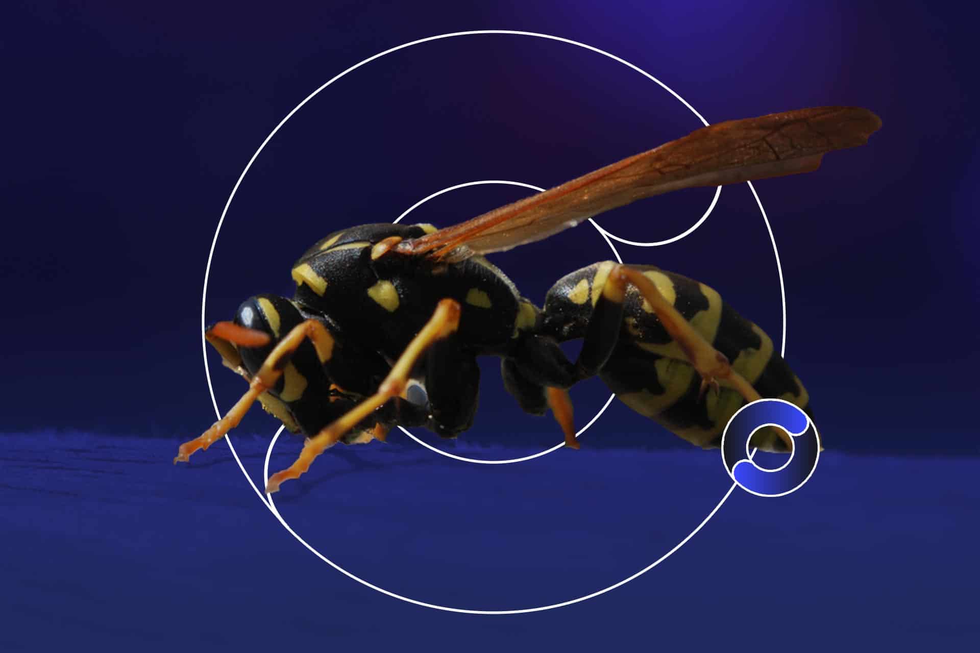 Featured-Image-engineers-create-new-drones-inspired-by-wasps