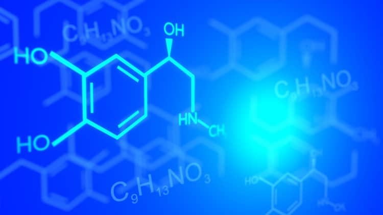 organic chemistry topics for beginners organic chemistry topics for beginners