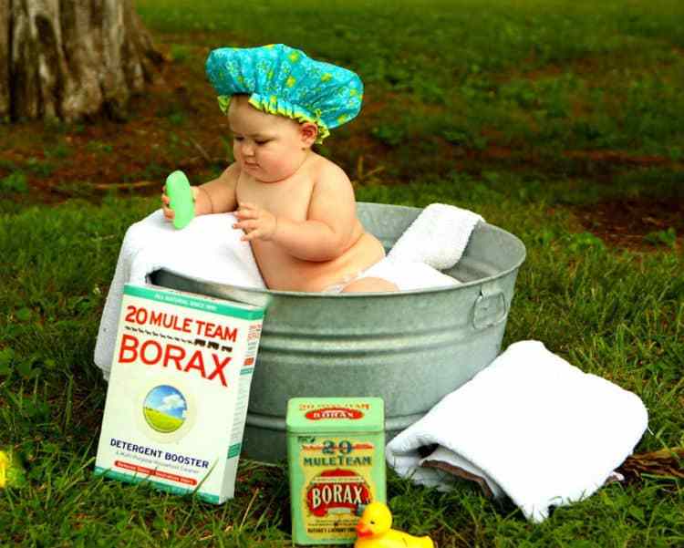 borax soap is one everyday use of alkali elements