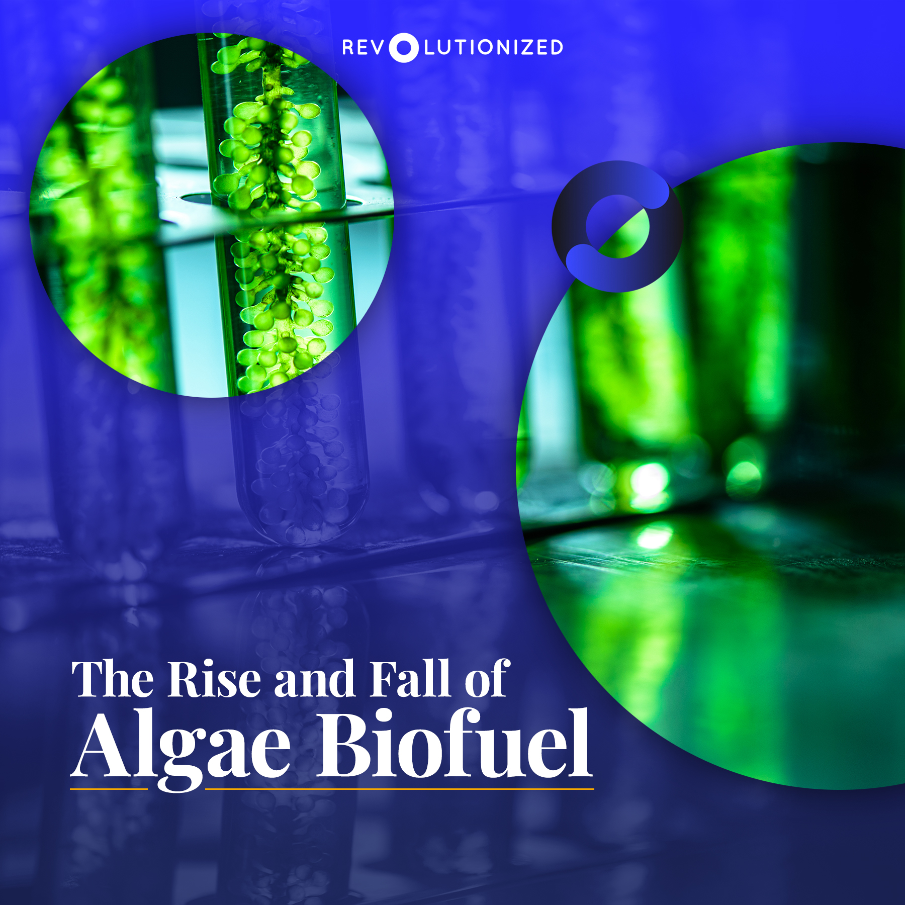 The Rise And Fall Of Algae Biofuel - Revolutionized