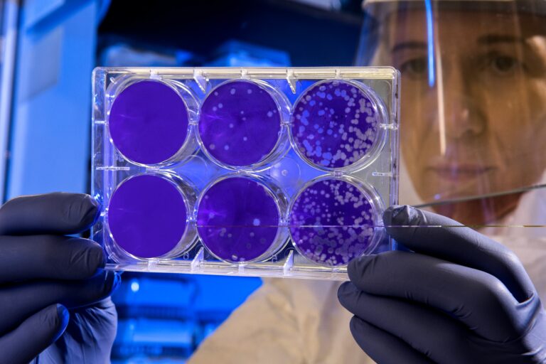 An antibiotic resistance researcher studying petri dishes