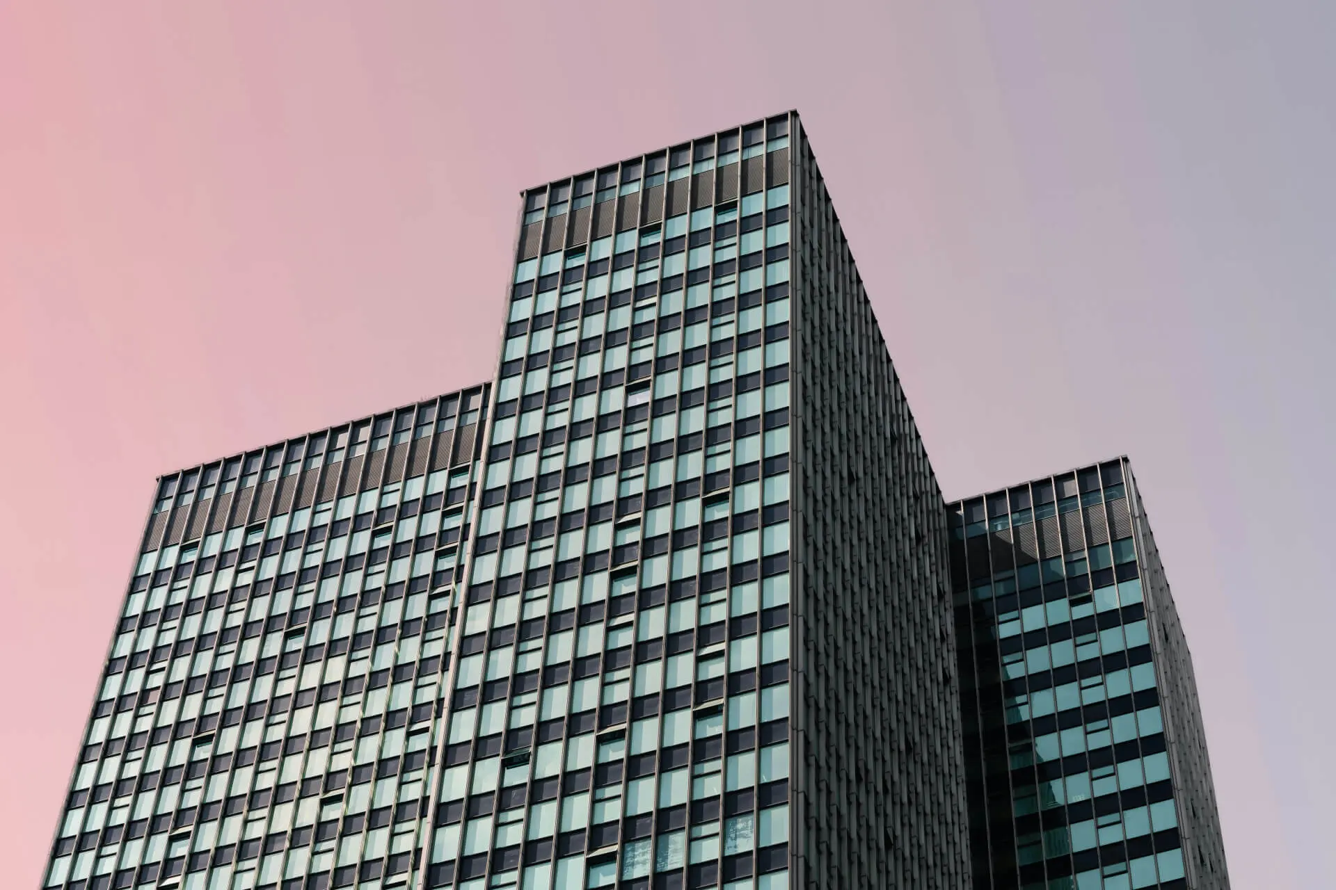 modern skyscraper against a pink cloudless sky