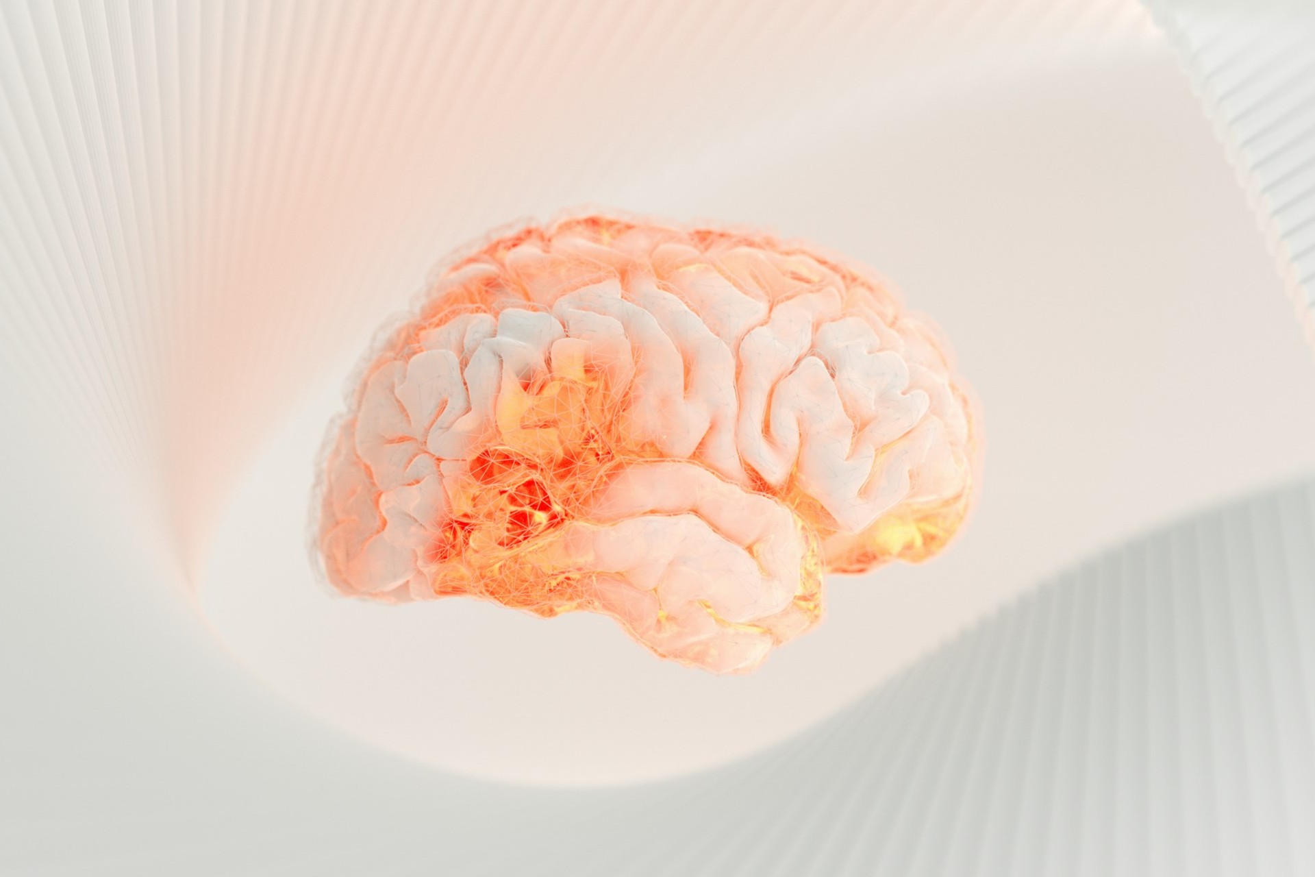 An orange 3D brain