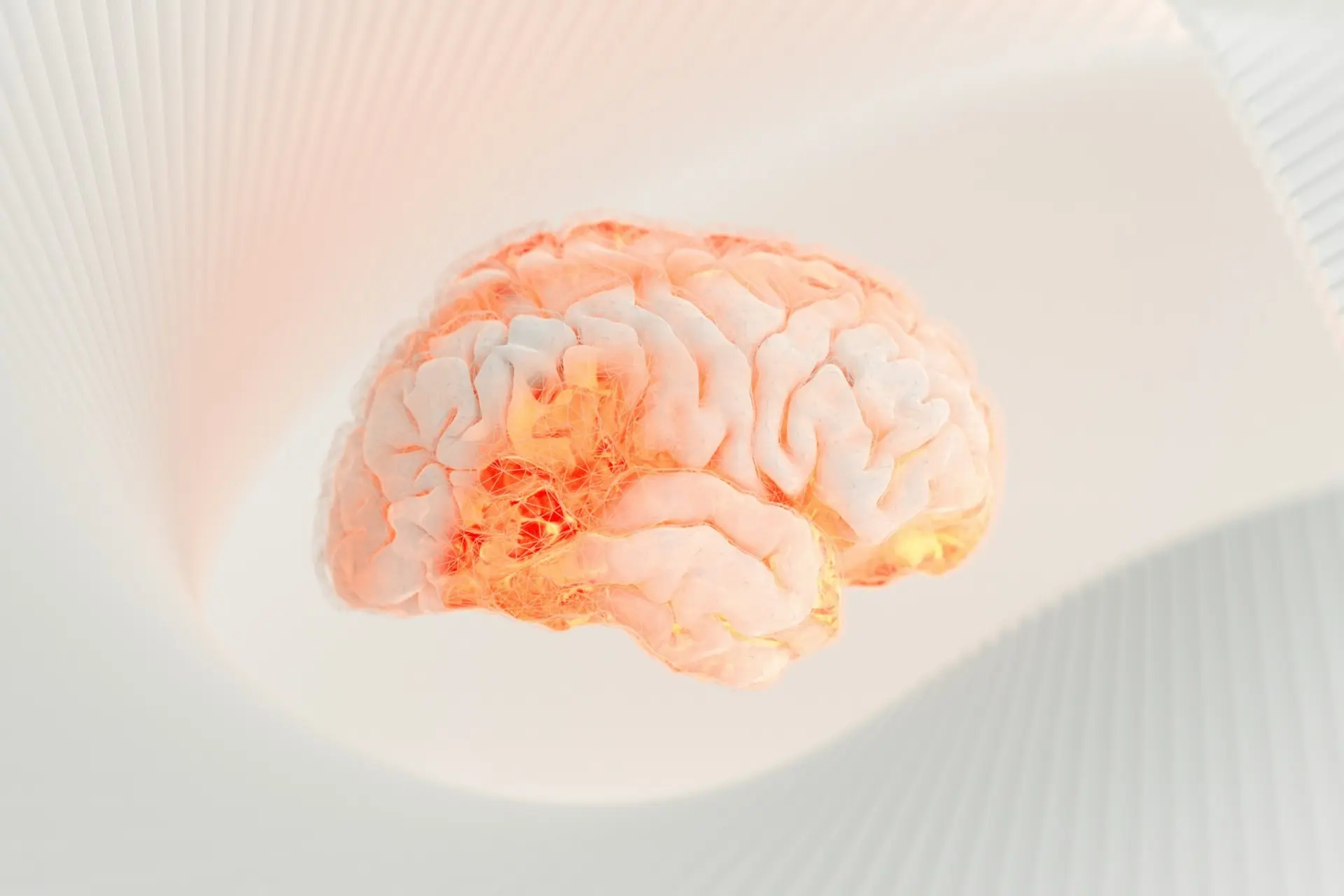 An orange 3D brain