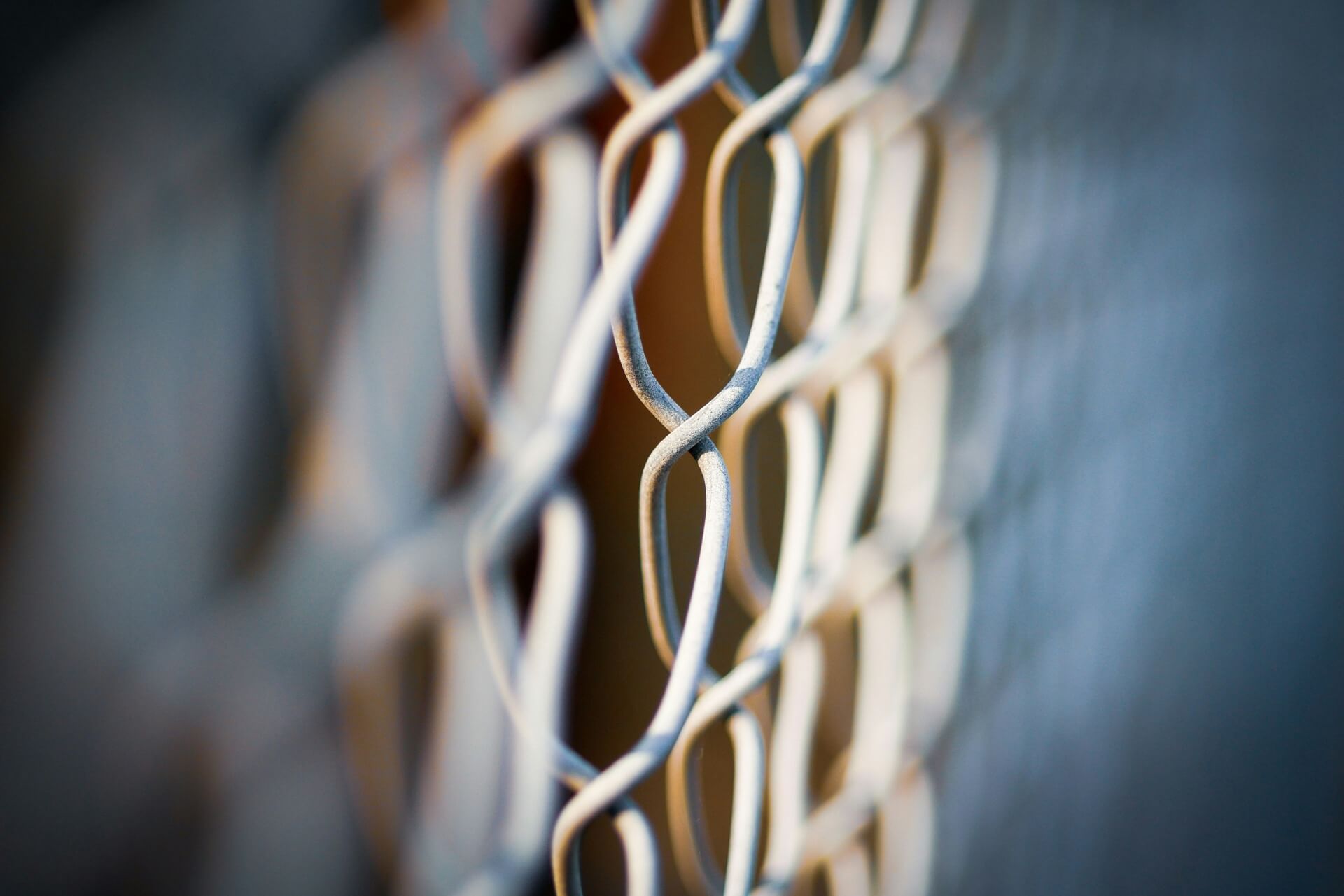 adam-valstar-DfVaTYbRCfY-unsplash (1) (1)