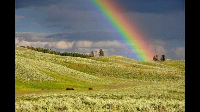 an arch of rainbow over a green meadow