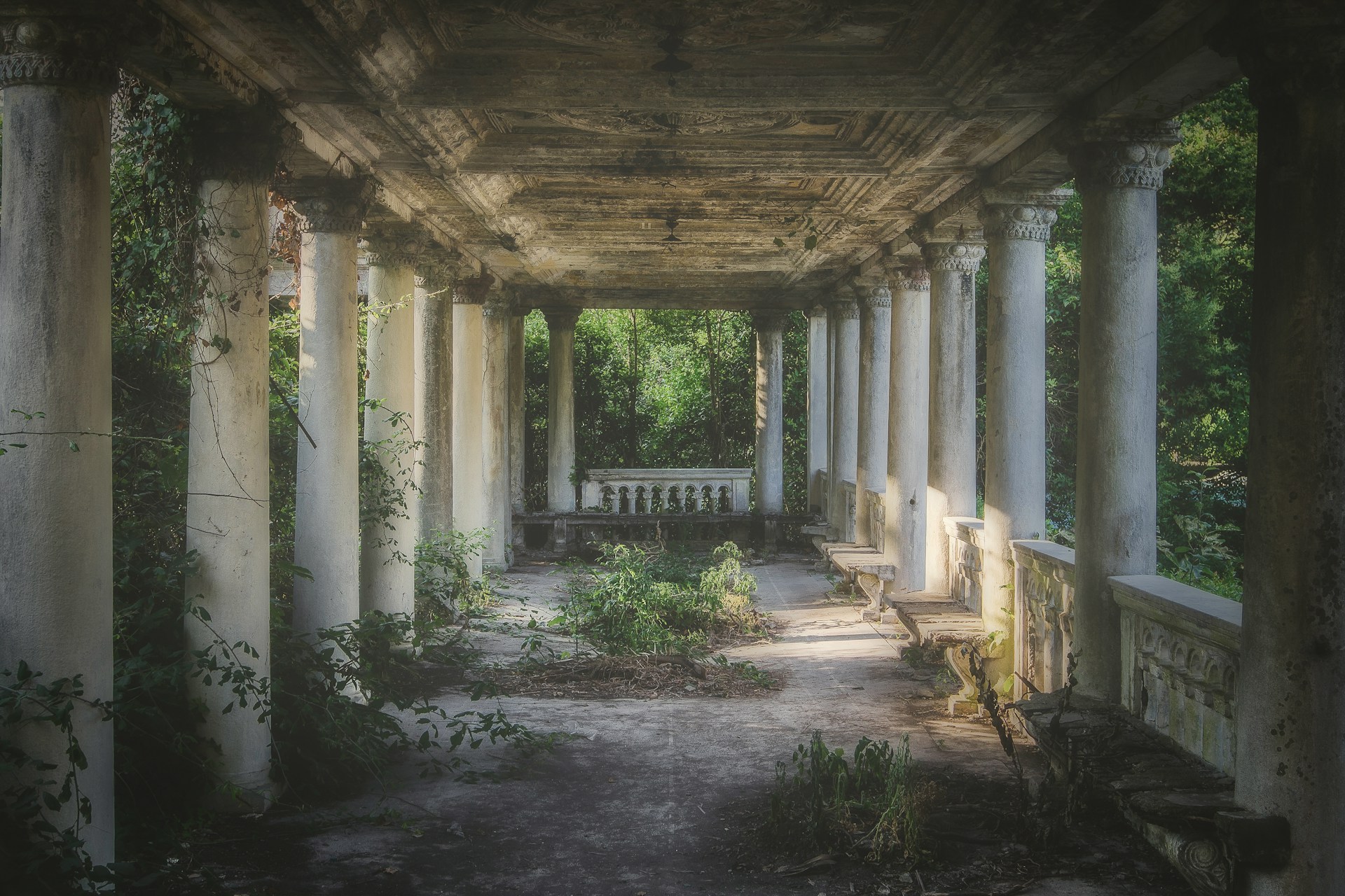 The oldest buildings in the world don't often have columns and vines like these.